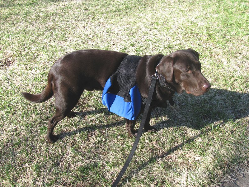 2010-03_17 Hemi backpack_0002.JPG - I Z C   ;